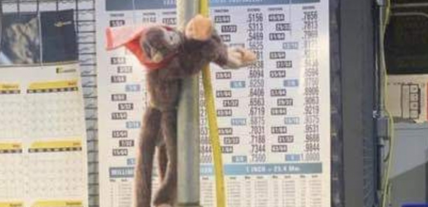 Black Workers at Ohio Ford Plant Denounce Racist TauntsBlack Workers at Ohio Ford Plant Denounce Racist Taunts