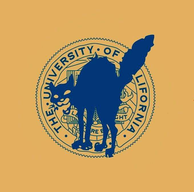 UCSB Organizations Coordinate Response to Housing Crisis
